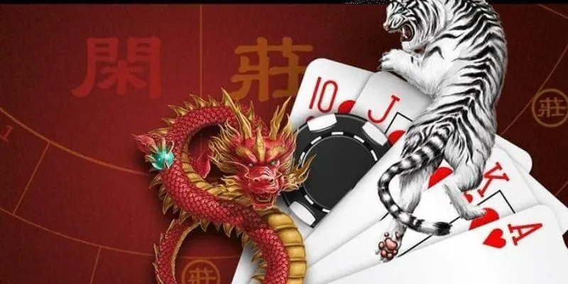 Giới thiệu sơ lược về rồng hổ R365