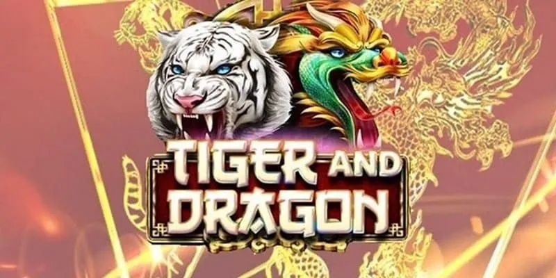 Lý do nên chọn tham gia cá cược tại R365