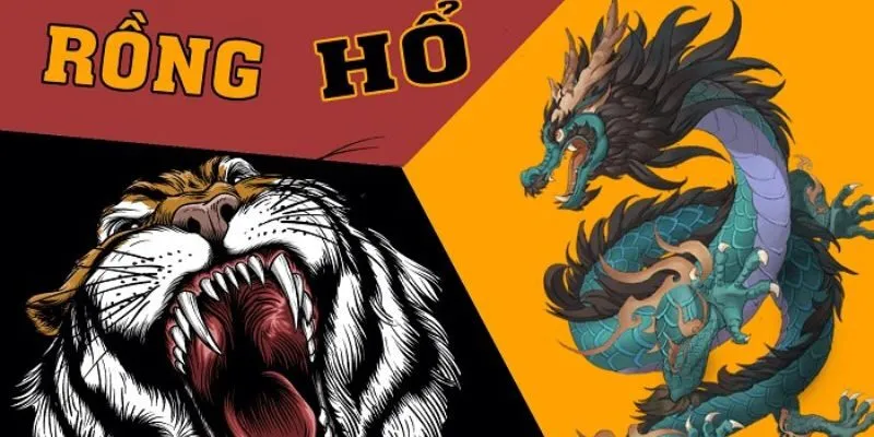 Chia sẻ bí quyết cá cược hiệu quả tại R365